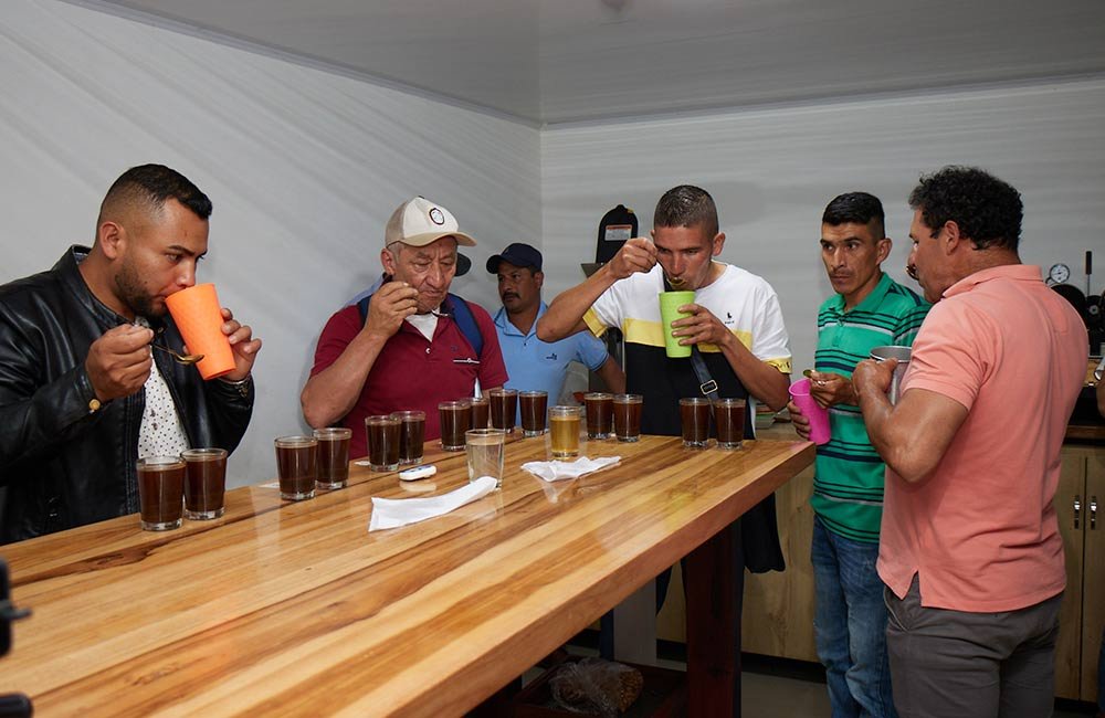 Grupo de caficultores de colombia catando café