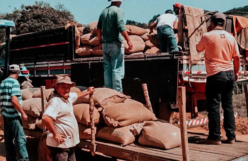 Pequenos productores de café de especialidad agrupando sacos de cafe de brasil