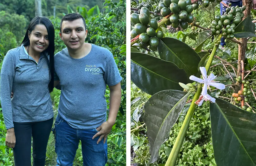 Café de especialidad en Colombia