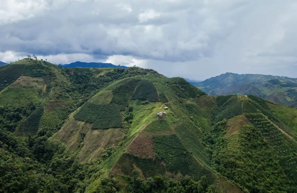 Región de Huila en Colombia, dedicada al cultivo de café de especialidad