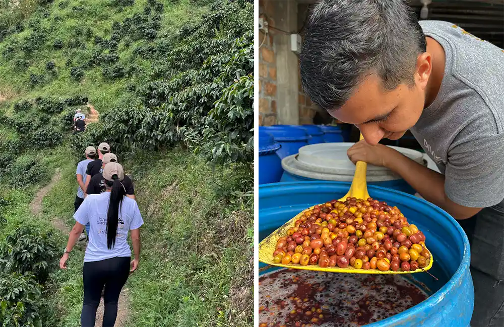 Café de especialidad en Colombia