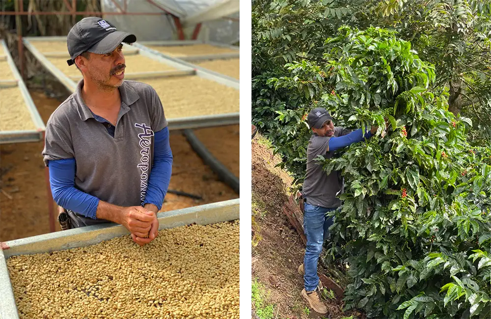 Cultivador de café de especialidad en Costa Rica