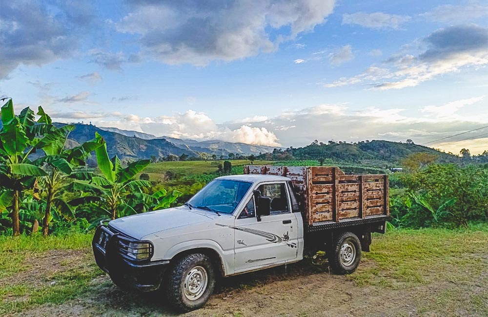 Vista panorámica de finca de cultivo de café de especialidad en Huila, Colombia