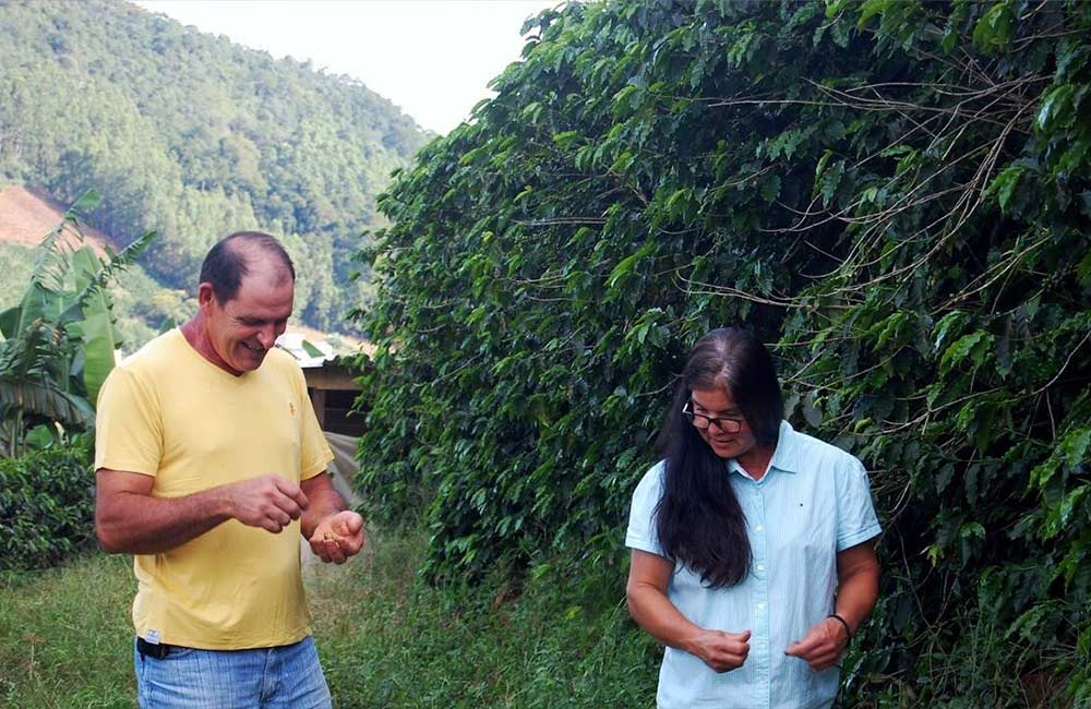 Caficultores de café de especialidad en Brasil