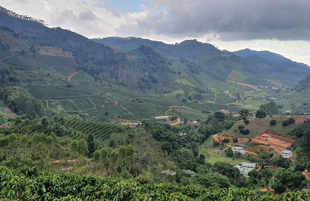 Finca de cultivo de café de Especialidad en Brasil