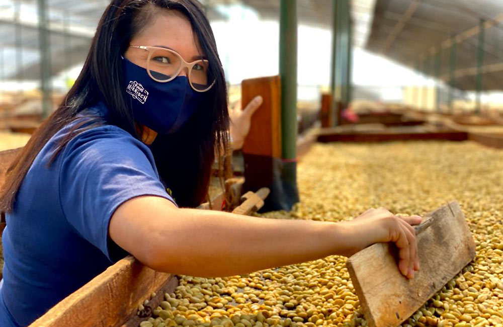 Procesado y trabajo sobre café de especialidad