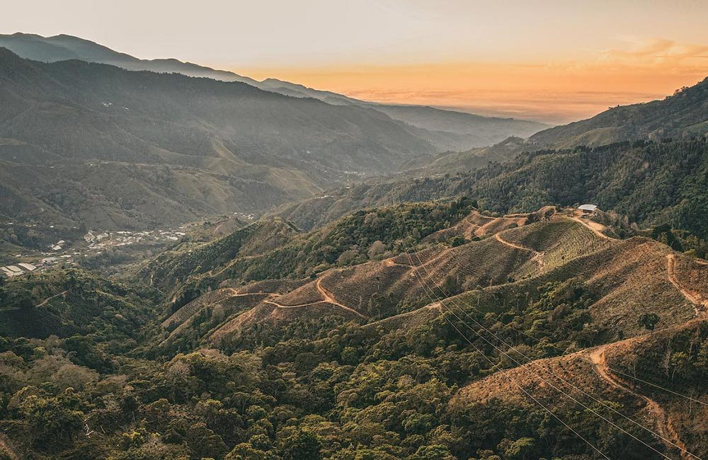 Finca de cultivo de café de especialidad el Salitre, en Costa Rica