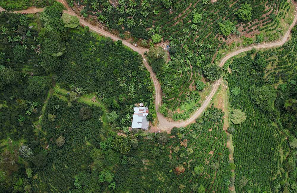 Finca el Salitre, dedicada al cultivo de café de especialidad en Costa Rica