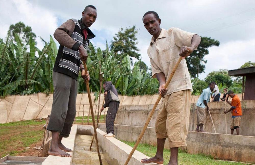 Washing piles for specialty coffee in Ethiopia