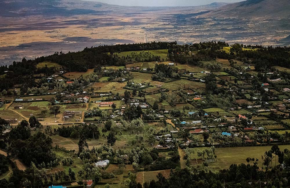 Finca de cultivo de café de especialidad en Kenia