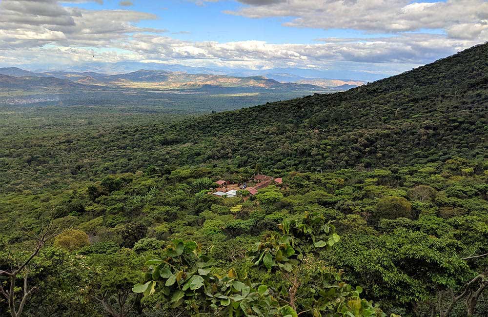 Plantación de café de especialidad en el Salvador finca Rodolfo Ruffatti