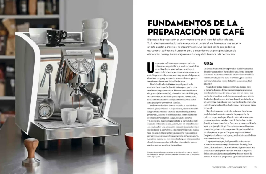 Fundamentos de preparación del café