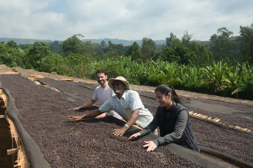 Caficultores de Tibebu Roba frente a camas de secado de café de especialidad